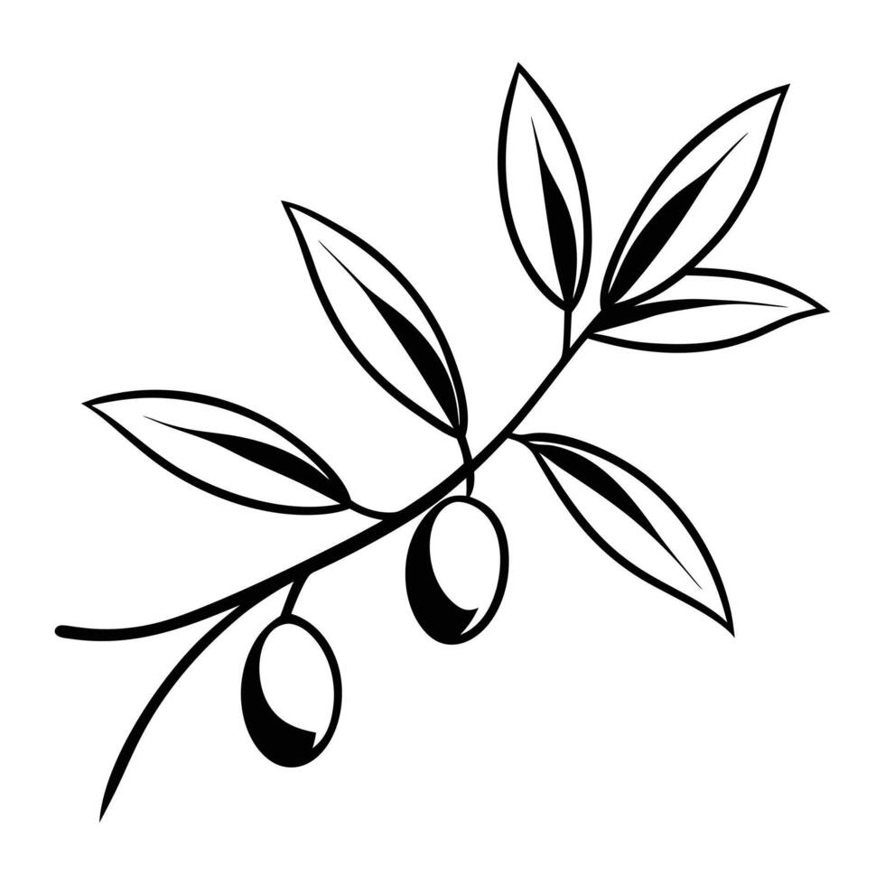 Botanical Olive Fruit Line Drawing vector