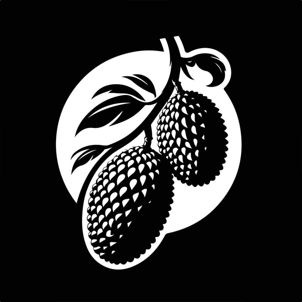 Jackfruit Hanging on Branch Clipart vector