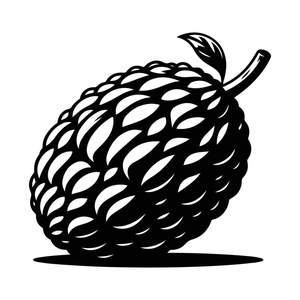 Hand-Drawn Jackfruit Botanical Illustration vector