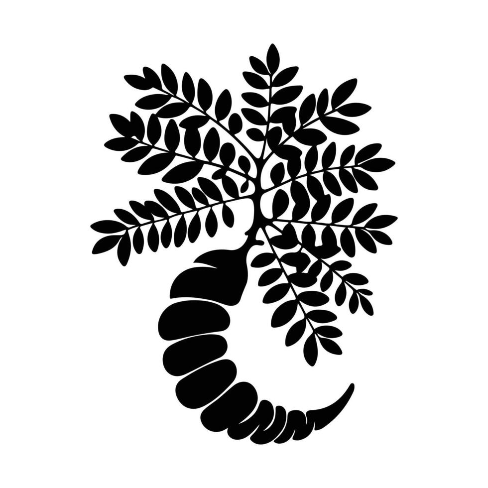 Hand-Drawn Tamarind Outline Icons vector