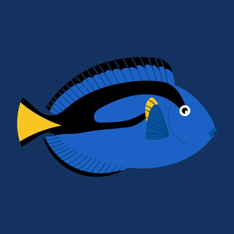 Tropical bluefish. Blue surgeonfish. Reef fish. Marine animal. Underwater life. Aquarium. vector