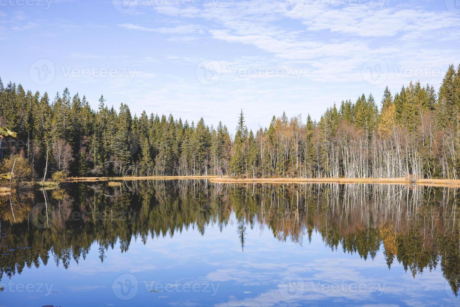 Perfect reflection of Norwegian forest trees mirrors across a still lake in Oslo Marka, blending sky and earth in silent harmony photo