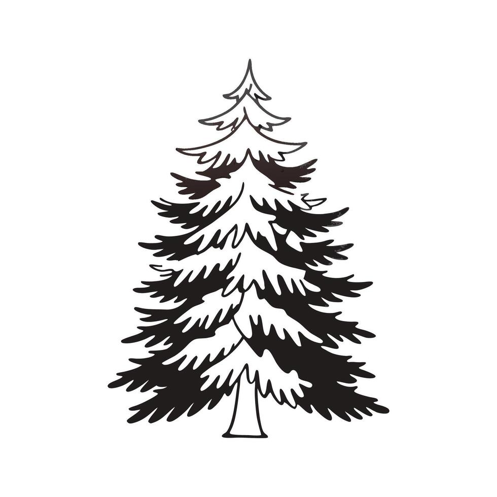 Stylized White Fir Tree Artwork vector