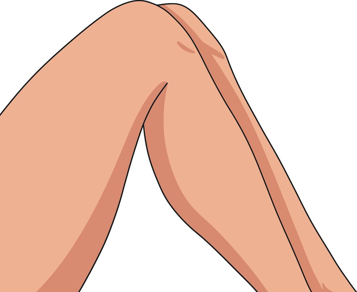 Human legs illustration with natural skin tone and smooth curves vector
