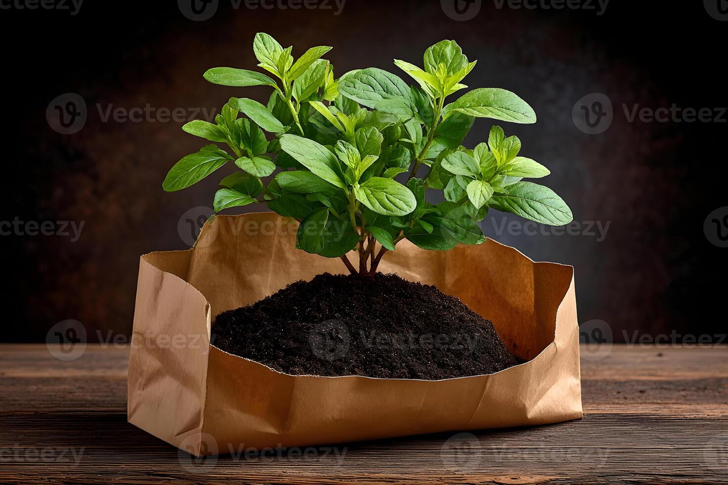 A small plant in a brown paper bag on a wooden table photo