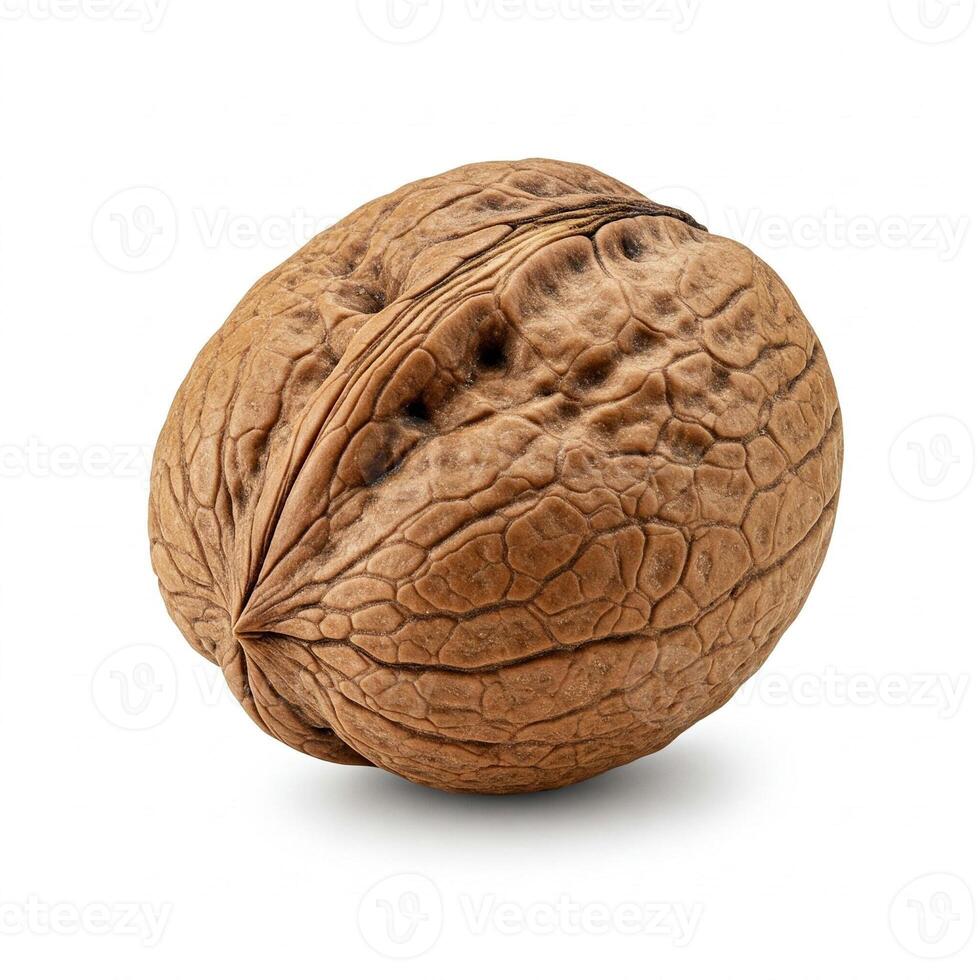 A walnut isolated on white photo
