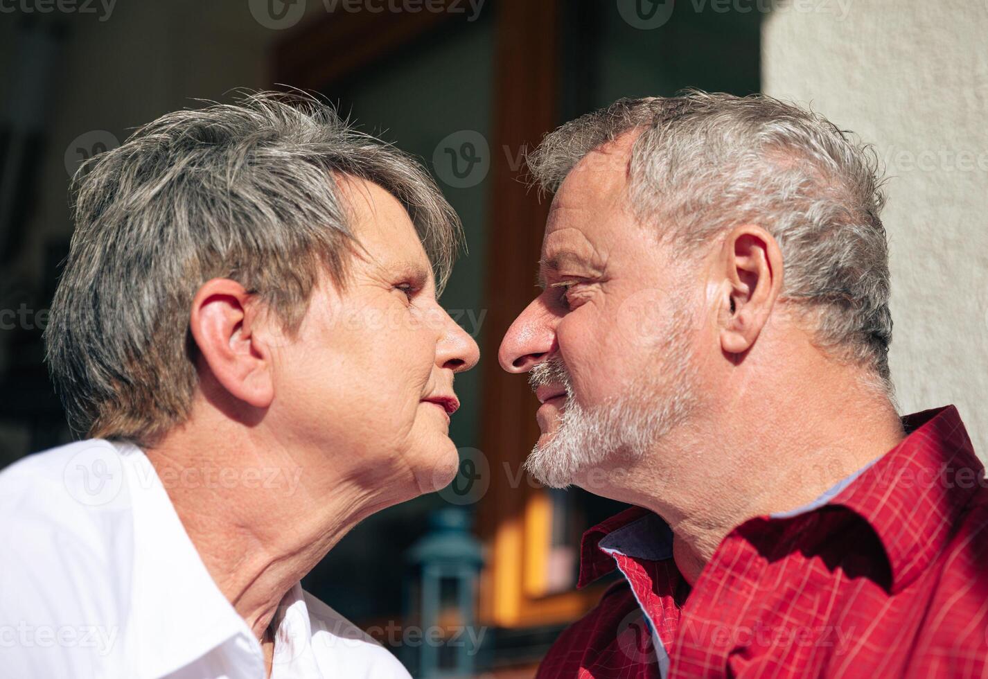 Intimate Gaze Between Loving Elderly Couple in the Sunlight photo