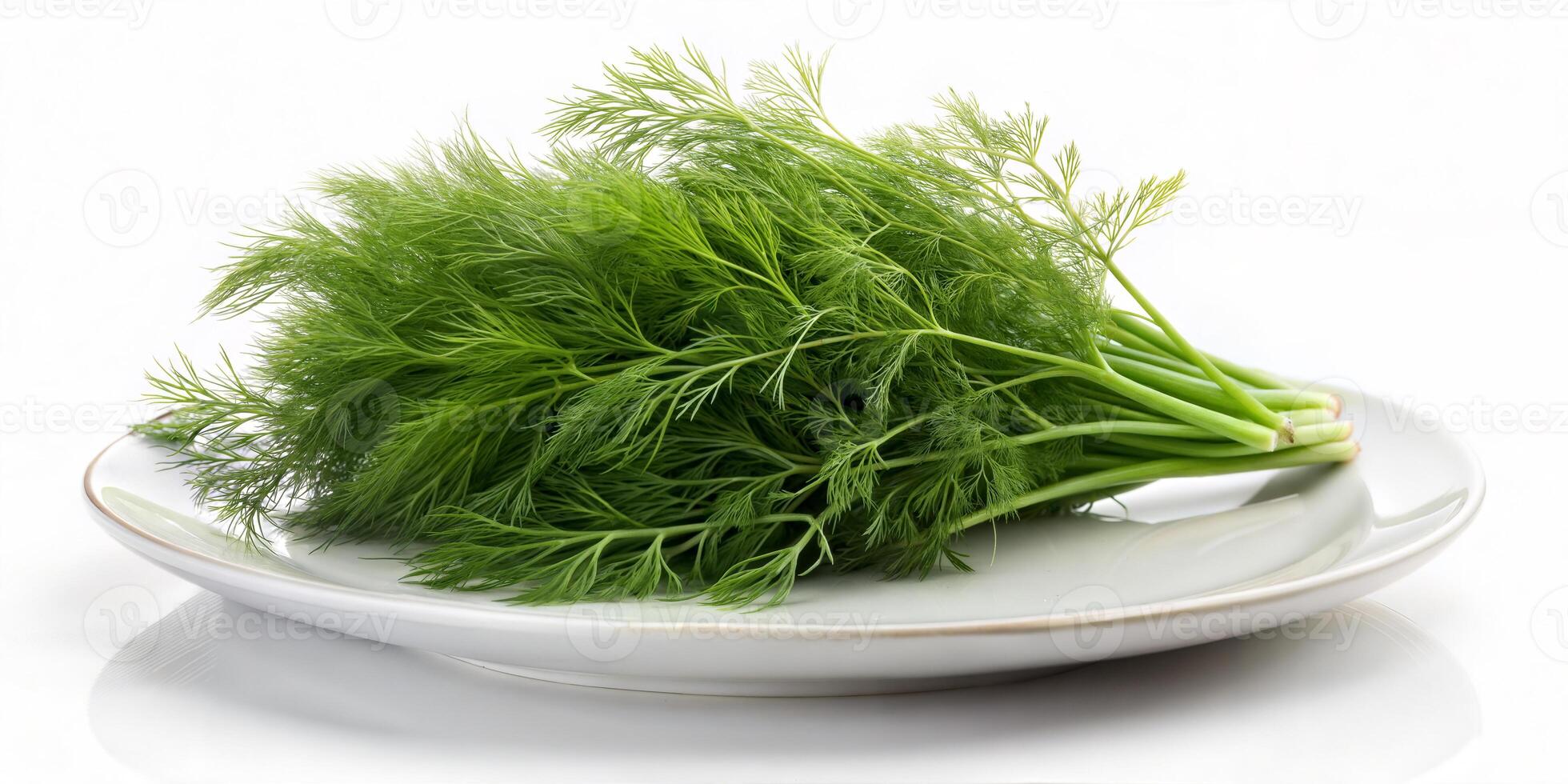Fresh Dill popular vegetable rich in various nutrients photo