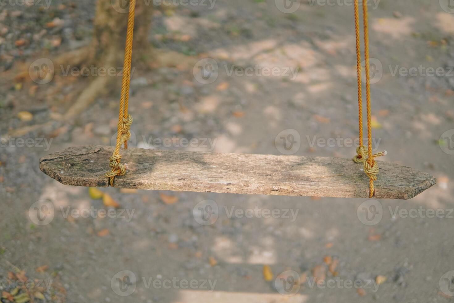 A swing made from wood hanging on a tree in the park, natural background. Outdoor and relaxation concept. photo