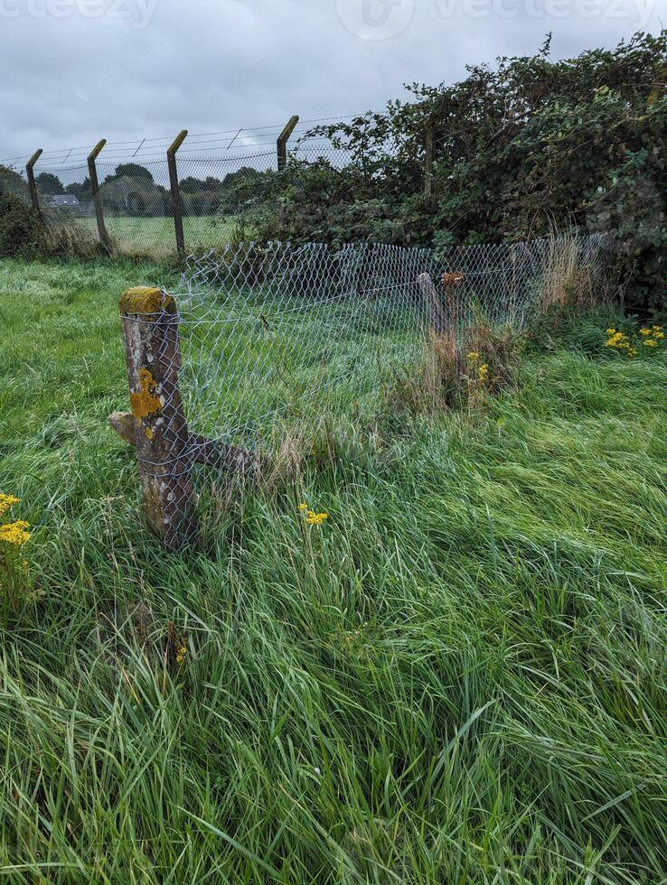 Meadow View Deteriorating Lichen-Covered Concrete Fence and Field in Wales photo