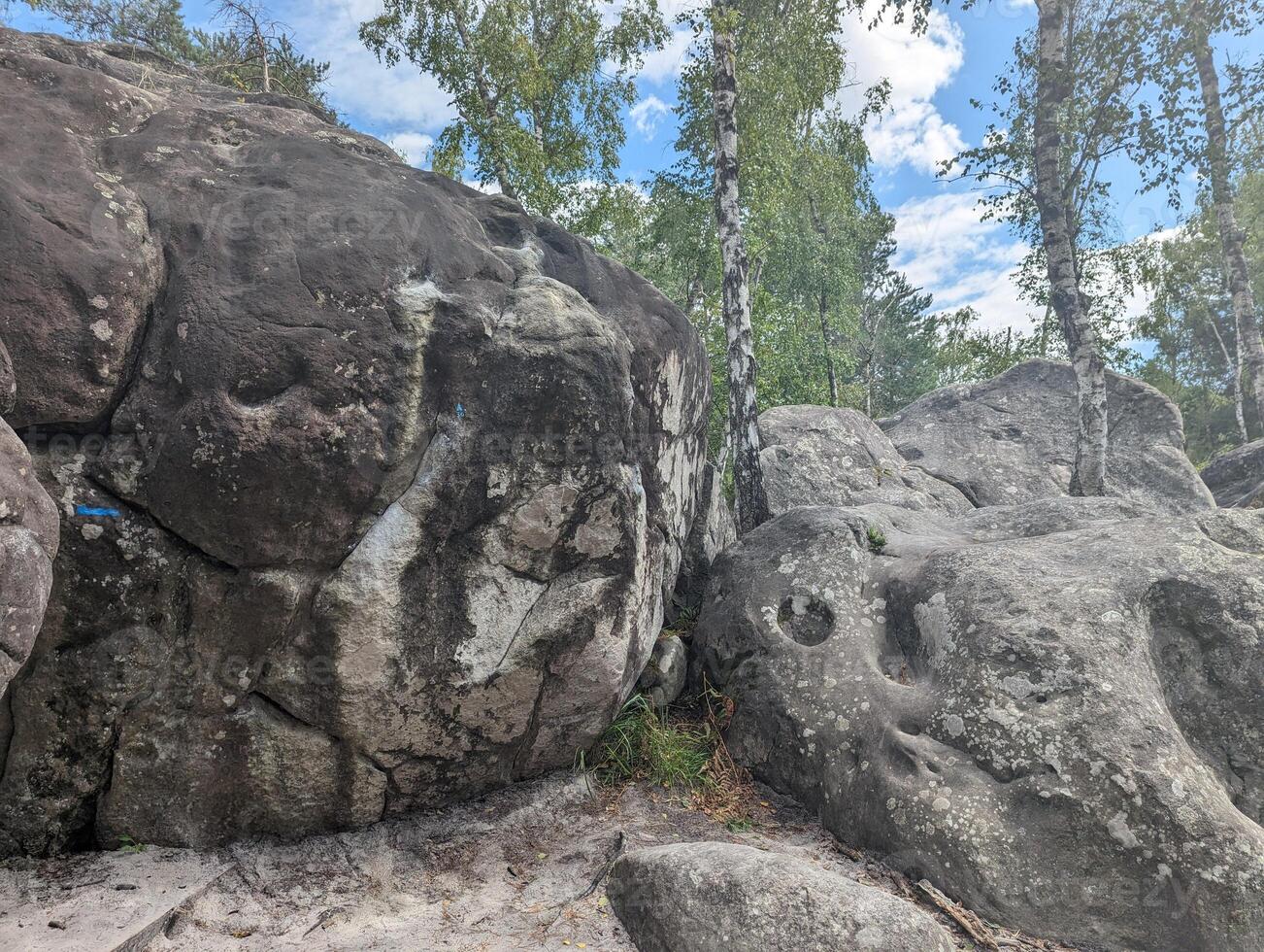 Summer Day in Fontainebleau Bouldering in the Forest photo