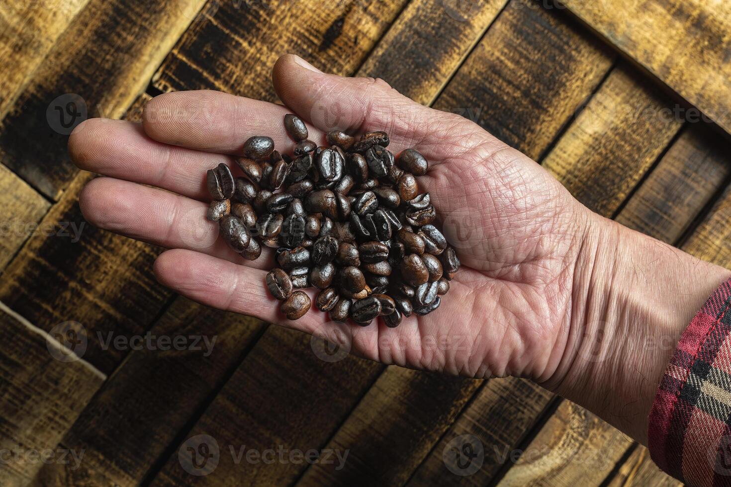 Roasted coffee beans in hand photo