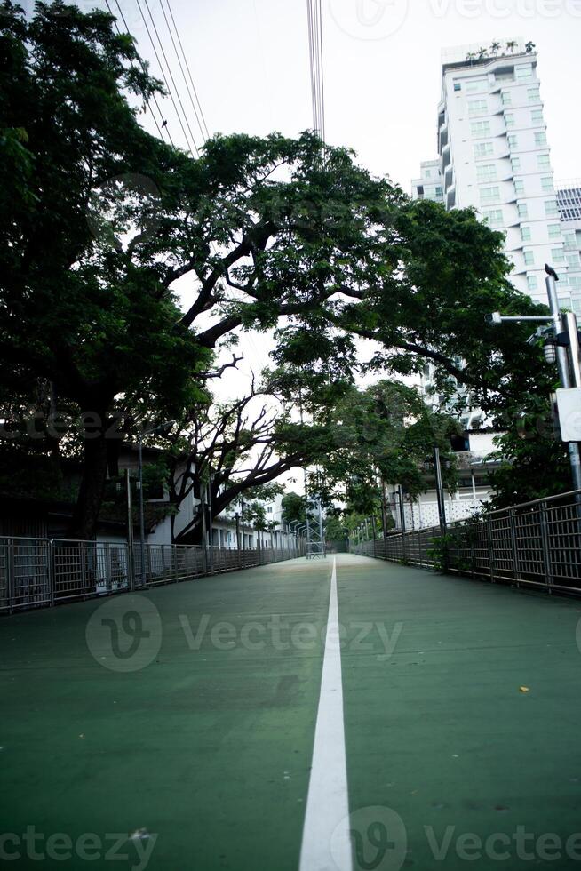 The road street cuts through the forest wood park with tree leaf shadow from sun rays in summer sunrise background and city photo
