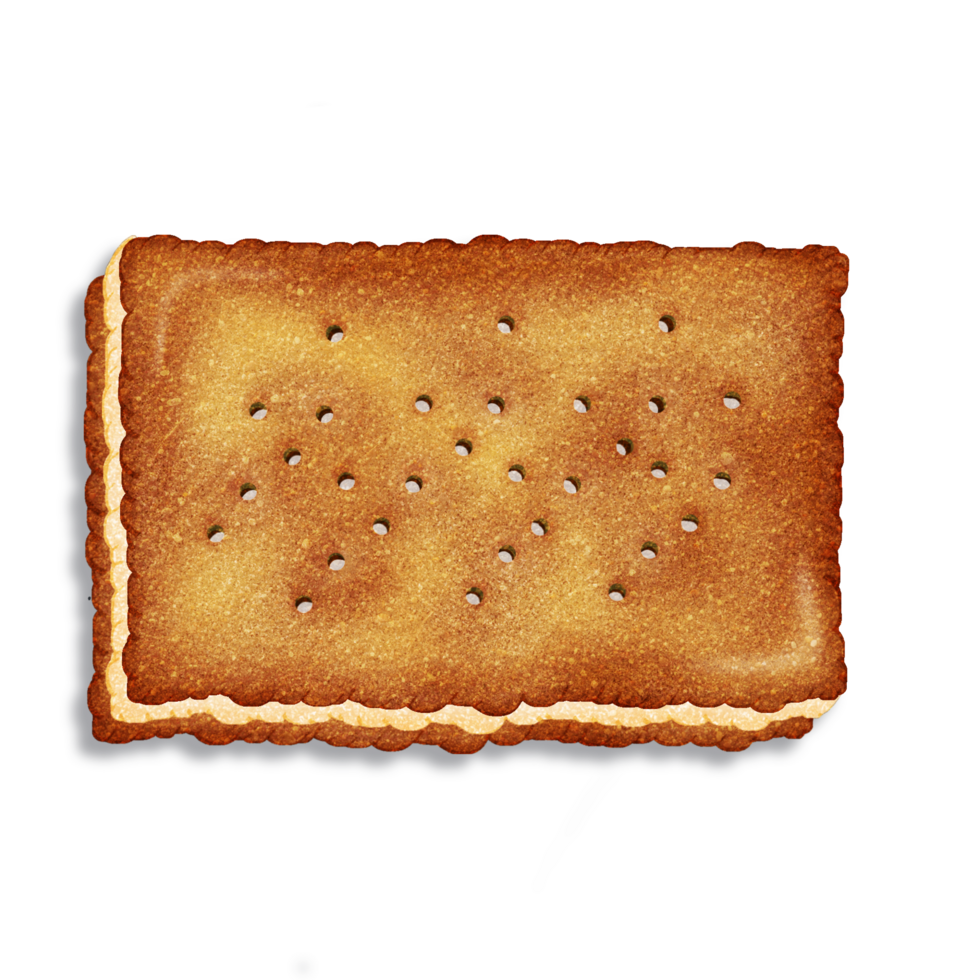Lemon biscuit with Unique Textured png