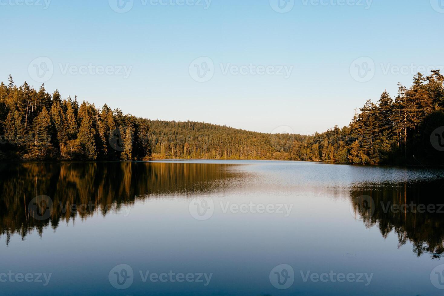 Scenic view of a lake in the mountains surrounded by evergreen forest photo