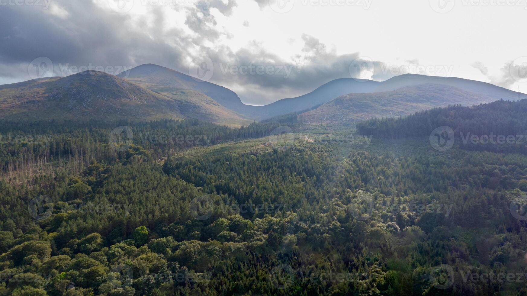 Aerial view on forest and mountains in Newcastle, Northern Ireland. Drone photo of mountain landscape