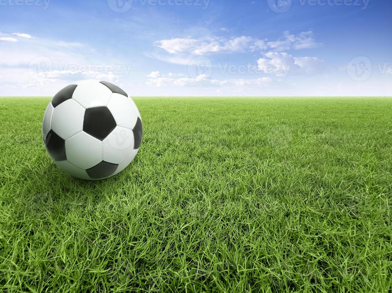 Soccer ball on green grass field with blue sky and white clouds photo