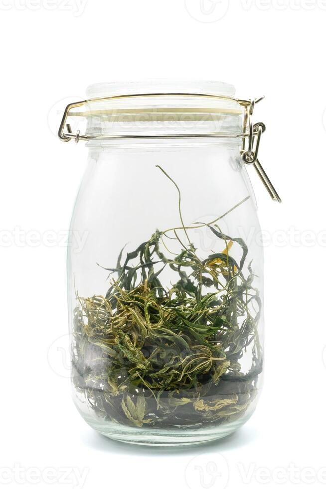Dried cannabis leaves in glass jar science on white isolated background. Dried marijuana leaf in glass on white background. photo