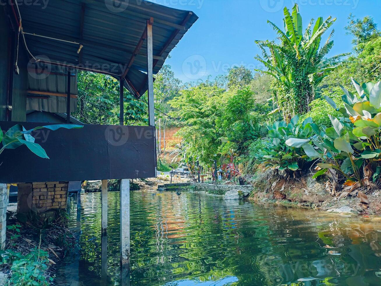 Clear water in Kemensah, Malaysia reflects vibrant green foliage, creating a peaceful atmosphere near a tropical getaway. The scene invites relaxation and connection with nature. photo