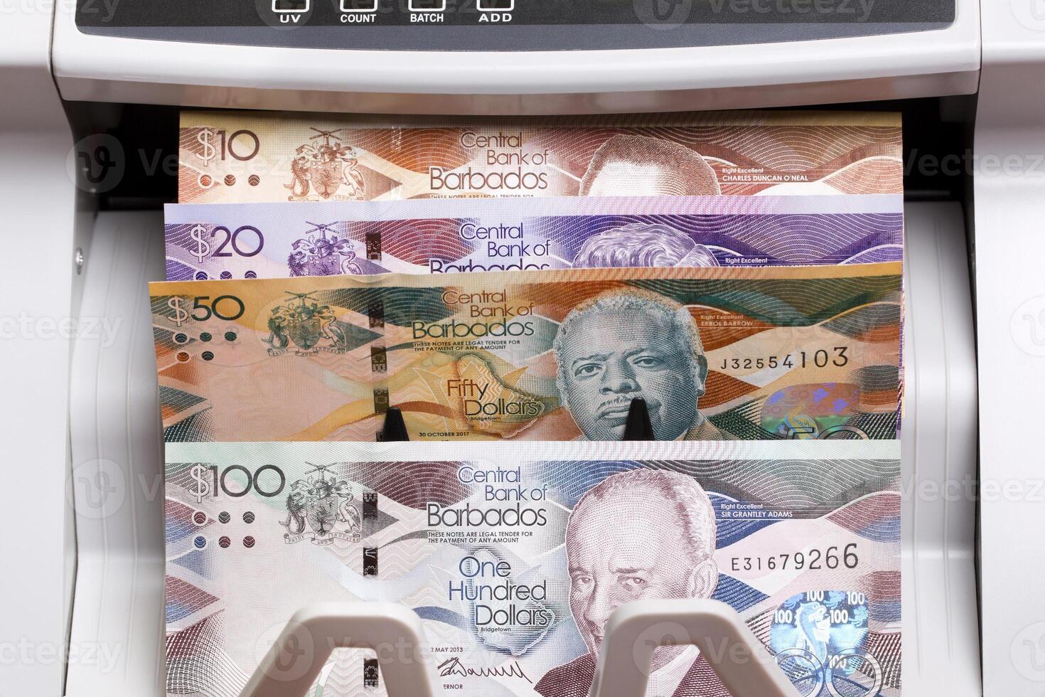 Barbadian dollar in the counting machine photo
