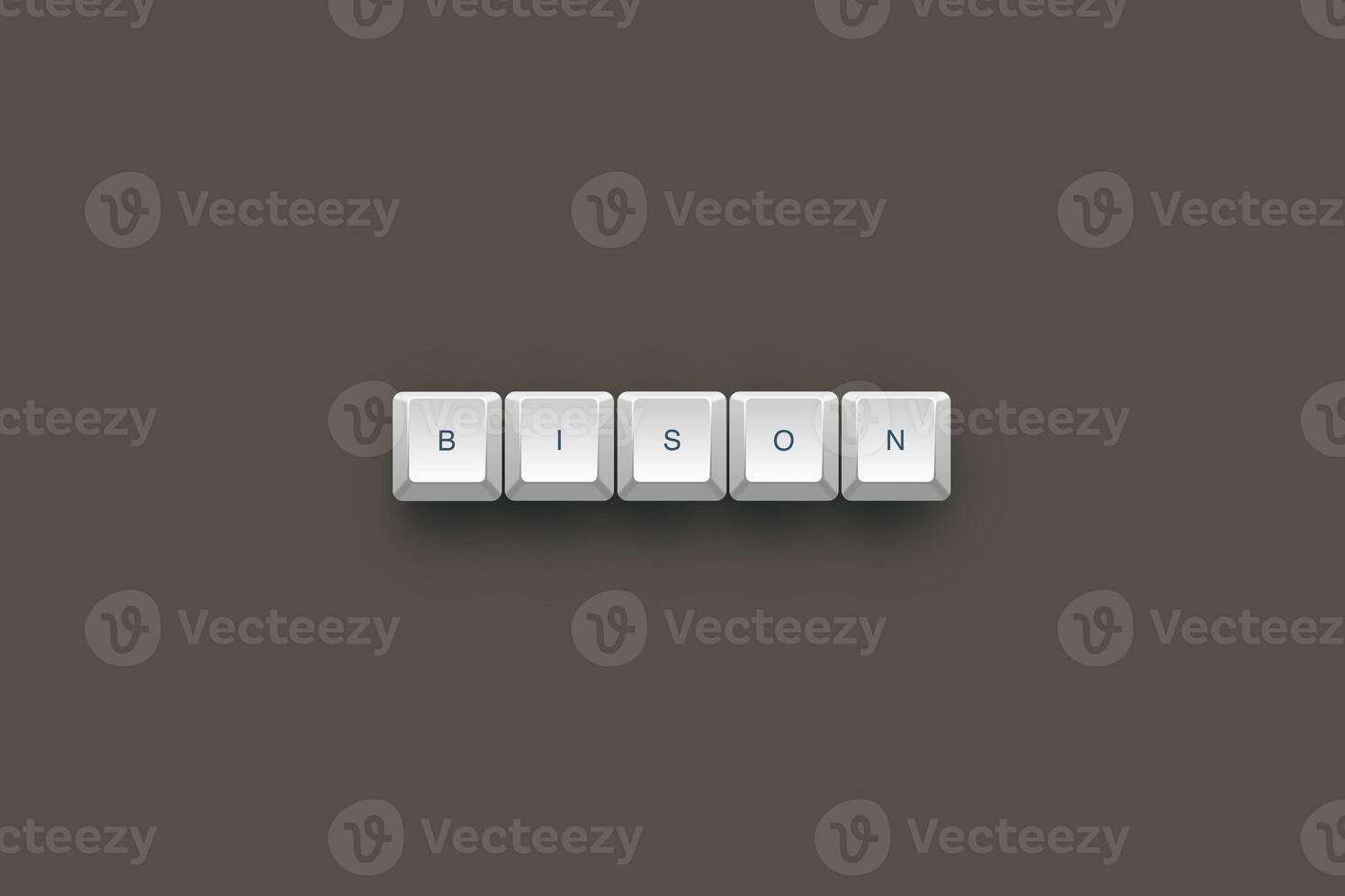 Bison text on a 3d keyboard button with shadow concept series photo