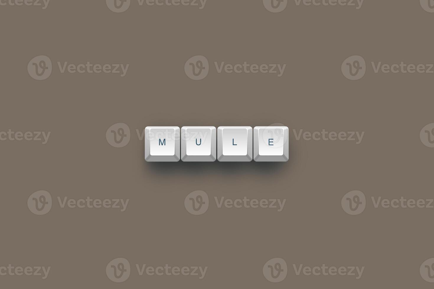 Mule text on a 3d keyboard button with shadow concept series photo