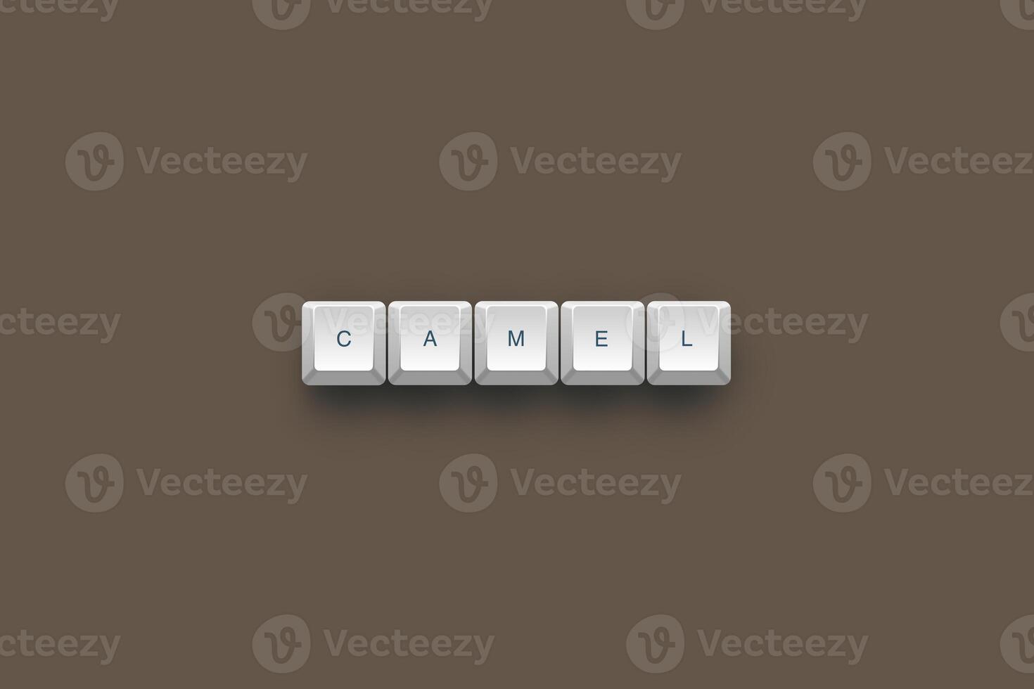 Camel text on a 3d keyboard button with shadow concept series photo
