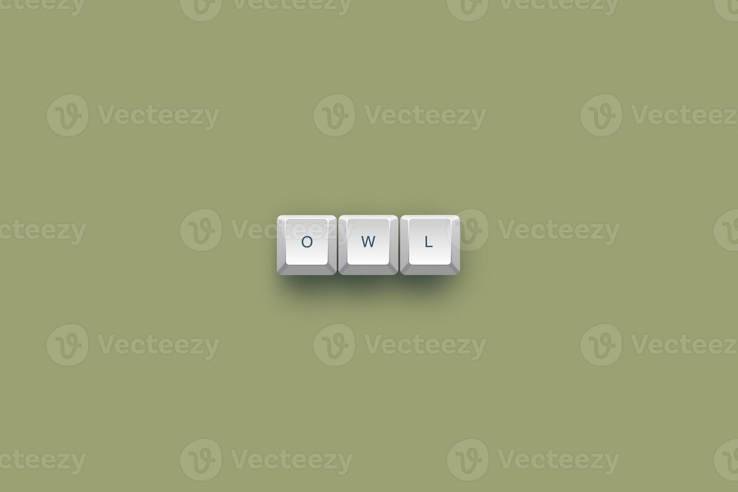 Owl text on a 3d keyboard button with shadow concept series photo