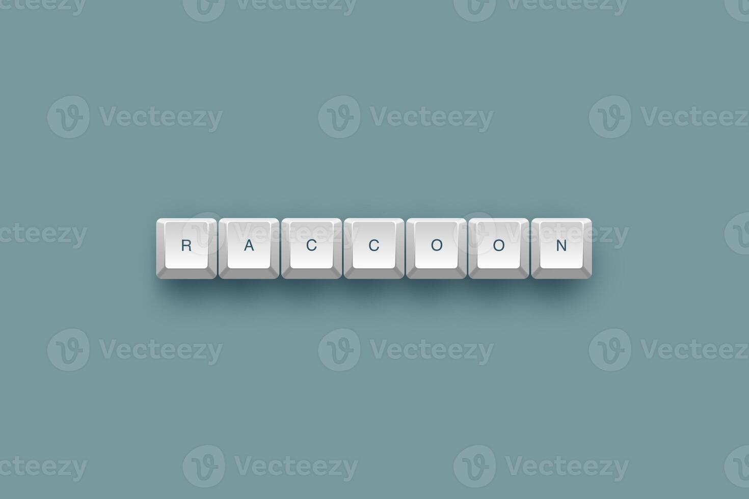 Raccoon text on a 3d keyboard button with shadow concept series 1971 photo