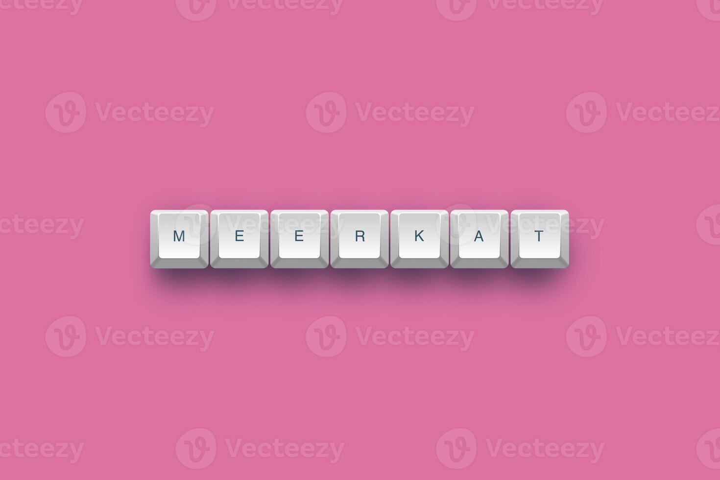 Meerkat text on a 3d keyboard button with shadow concept series photo
