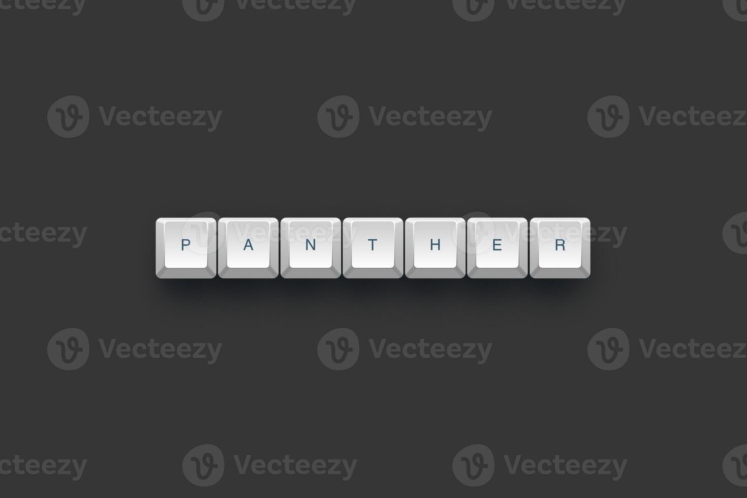 Panther text on a 3d keyboard button with shadow concept series photo