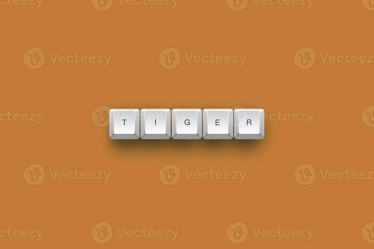 Tiger text on a 3d keyboard button with shadow concept series photo