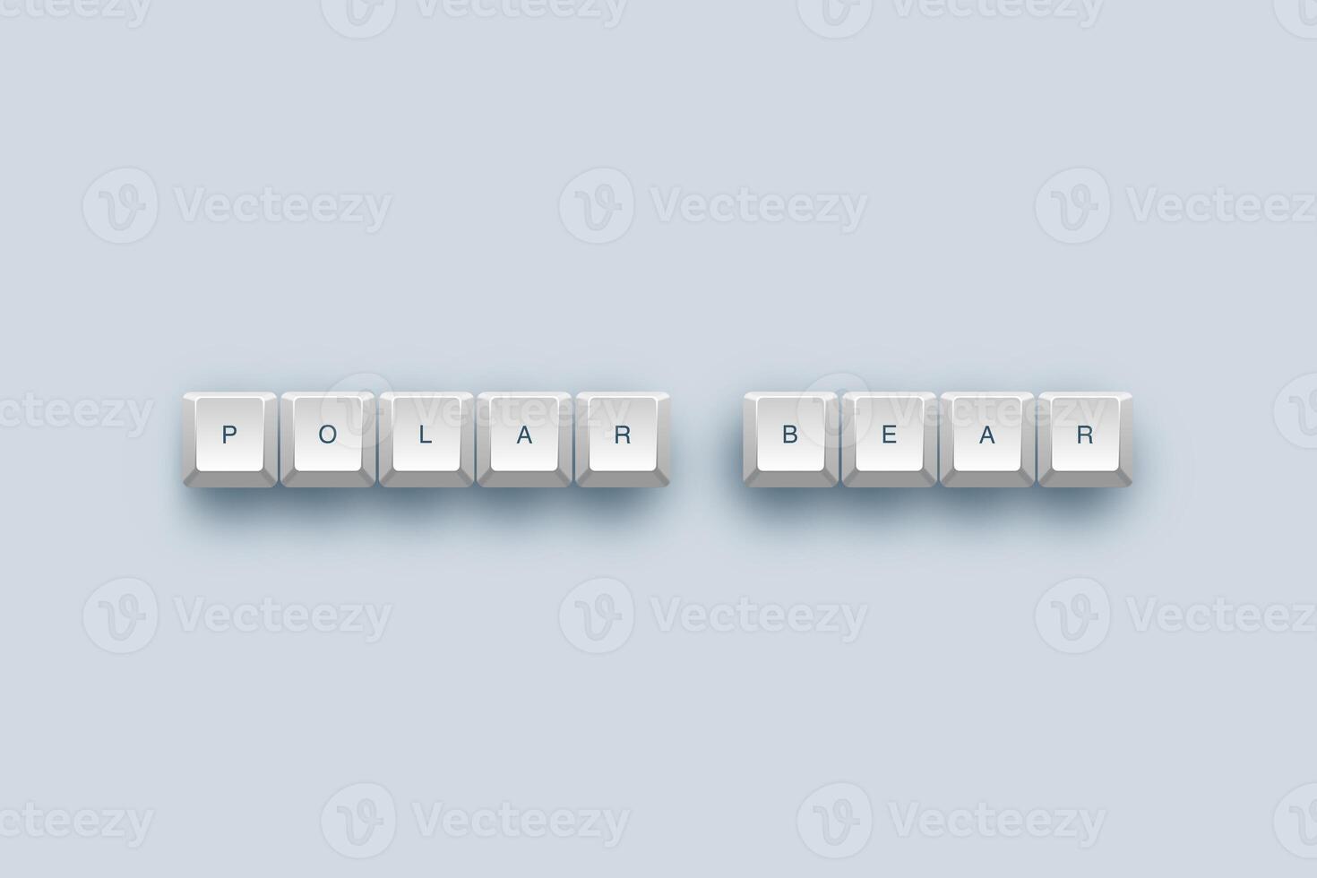 polar bear text on a 3d keyboard button with shadow concept series photo