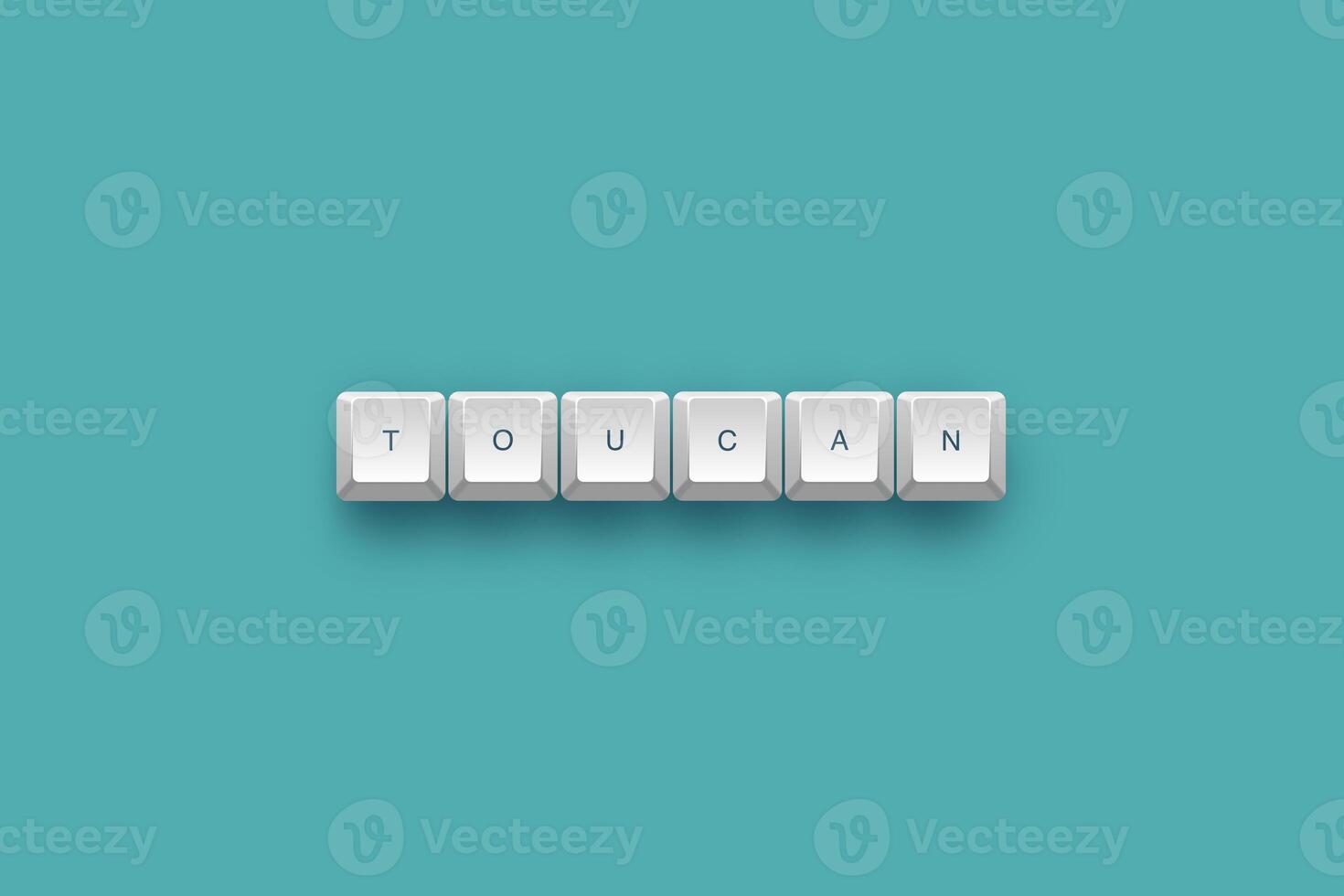 Toucan text on a 3d keyboard button with shadow concept series photo