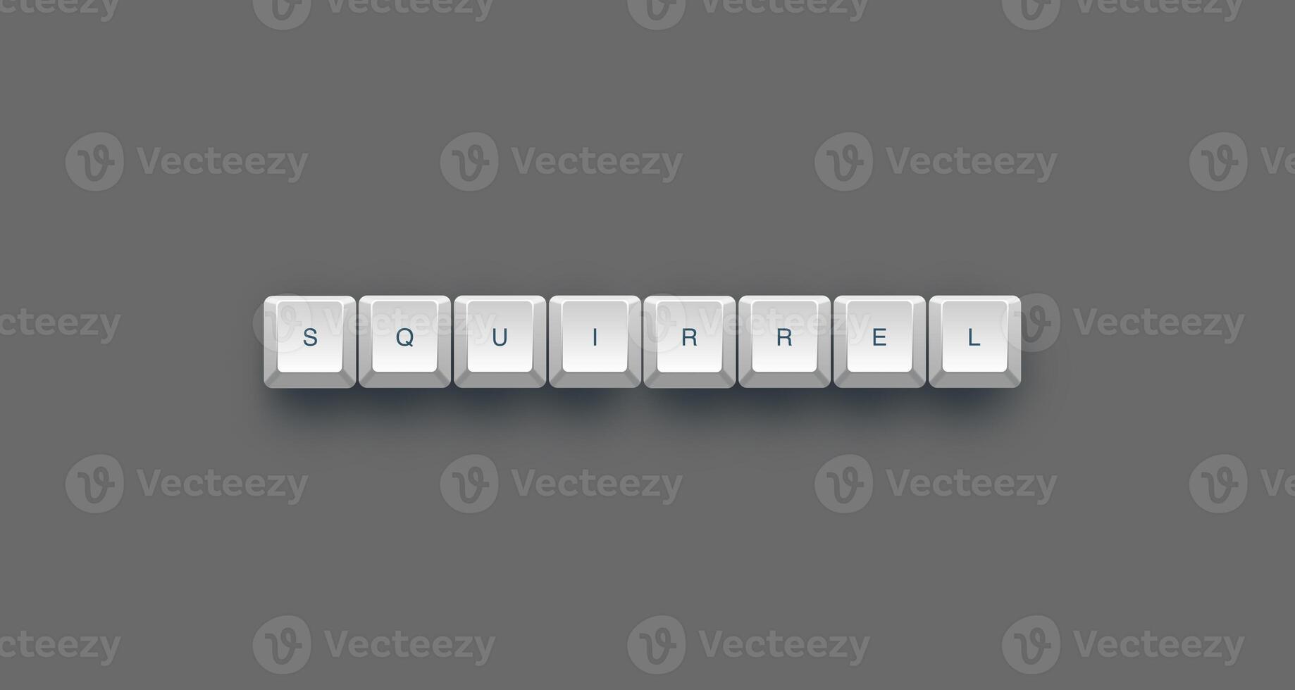 Squirrel text on a 3d keyboard button with shadow concept series photo
