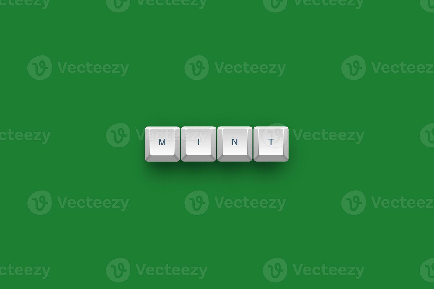Mint text on a 3d keyboard button with shadow concept series photo