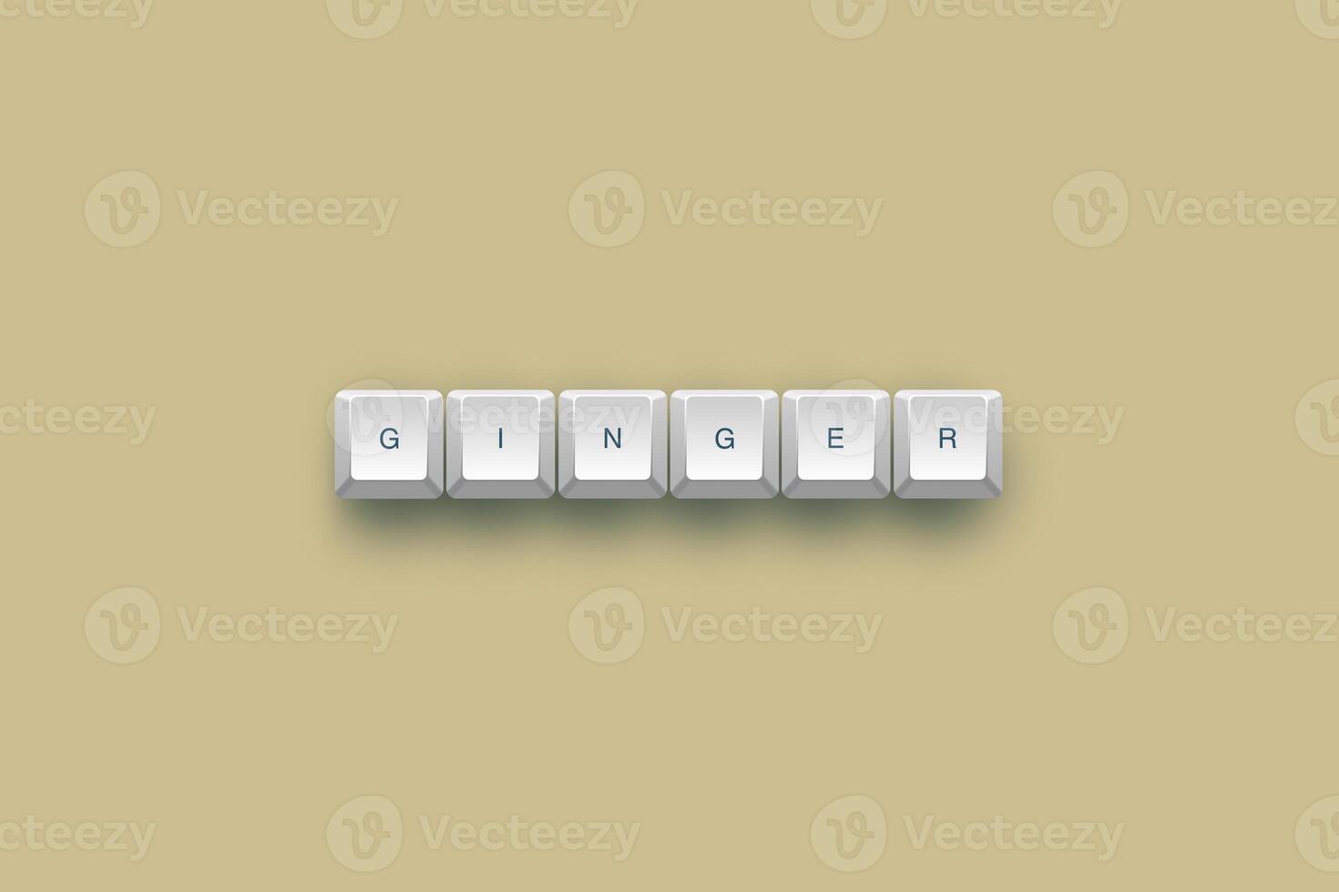 Ginger text on a 3d keyboard button with shadow concept series photo
