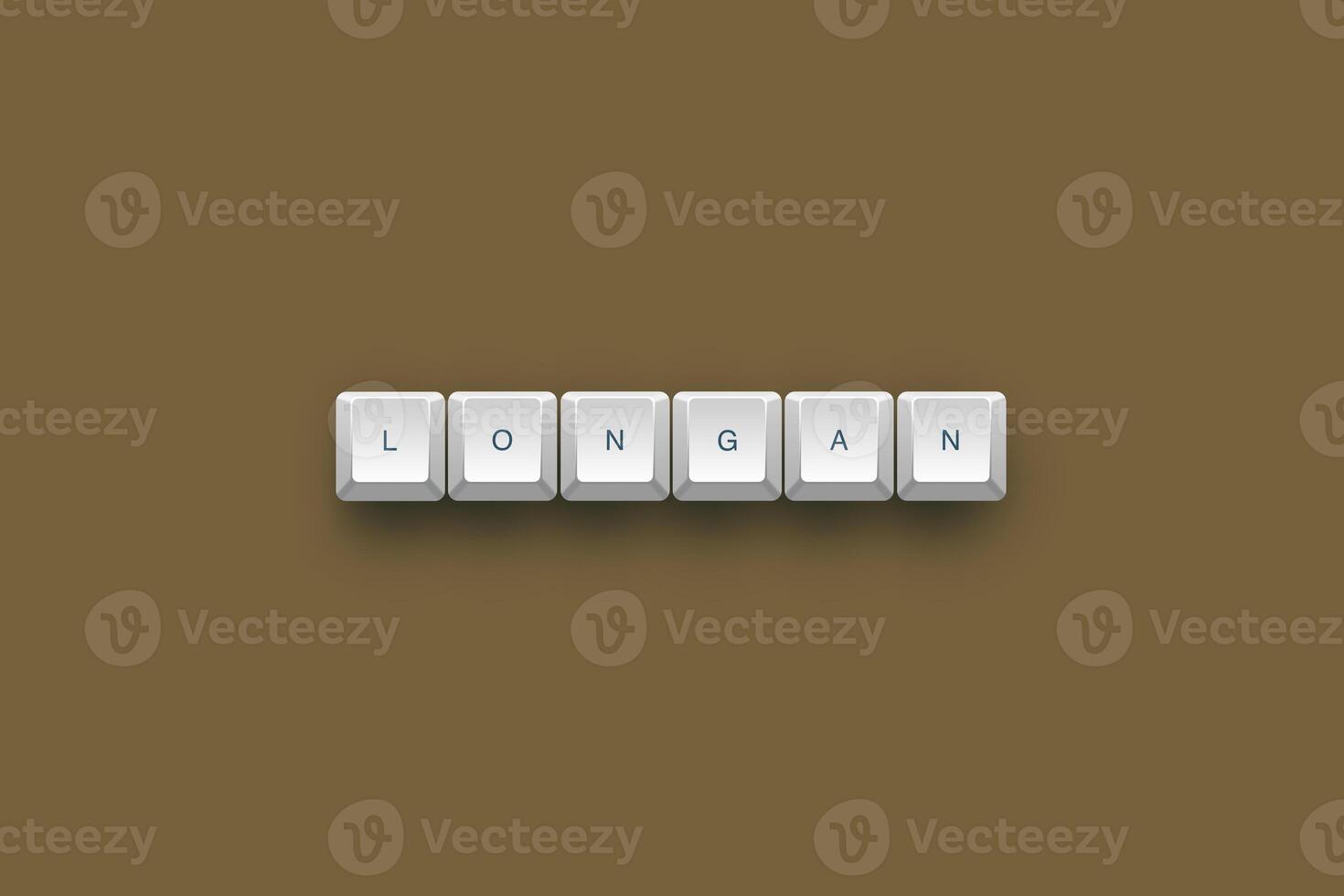 Longan text on a 3d keyboard button with shadow concept series photo