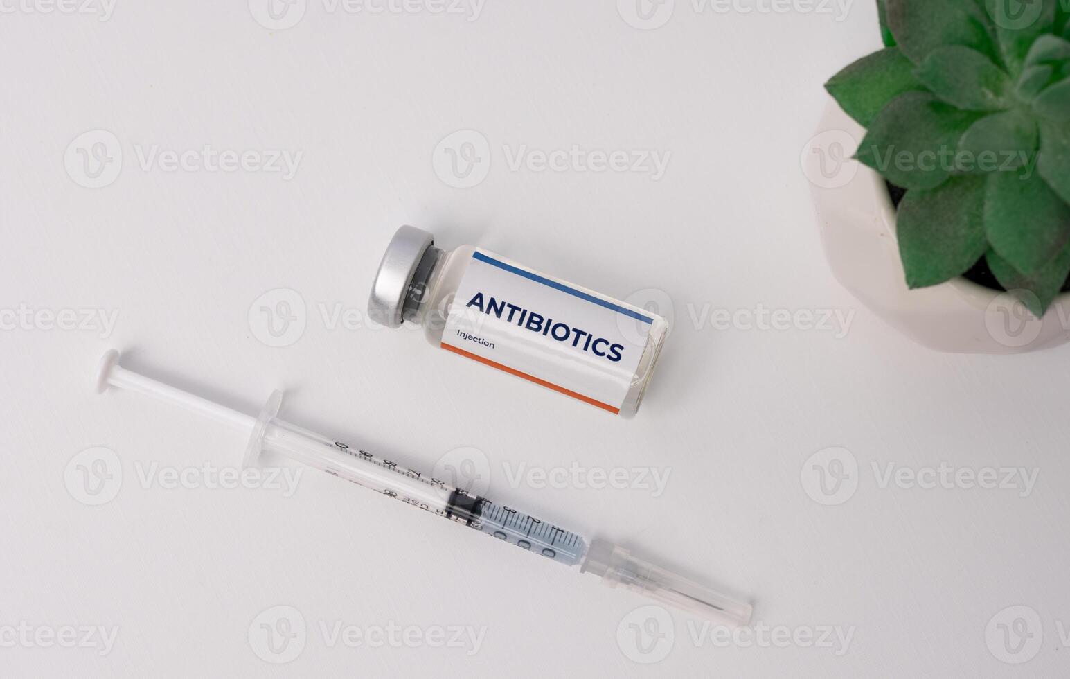 an antibiotic with a syringe and an ornamental plant in the upper corner. medical concept photo