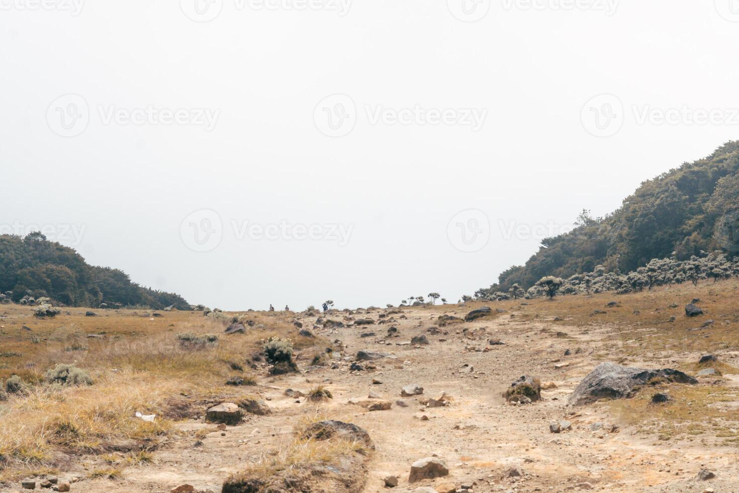 Photo of a trip to Mount Gede Pangrango, hiking adventure along the trails at the Surya Kencana square. National Park in West Java, Cianjur, 24 July 2023