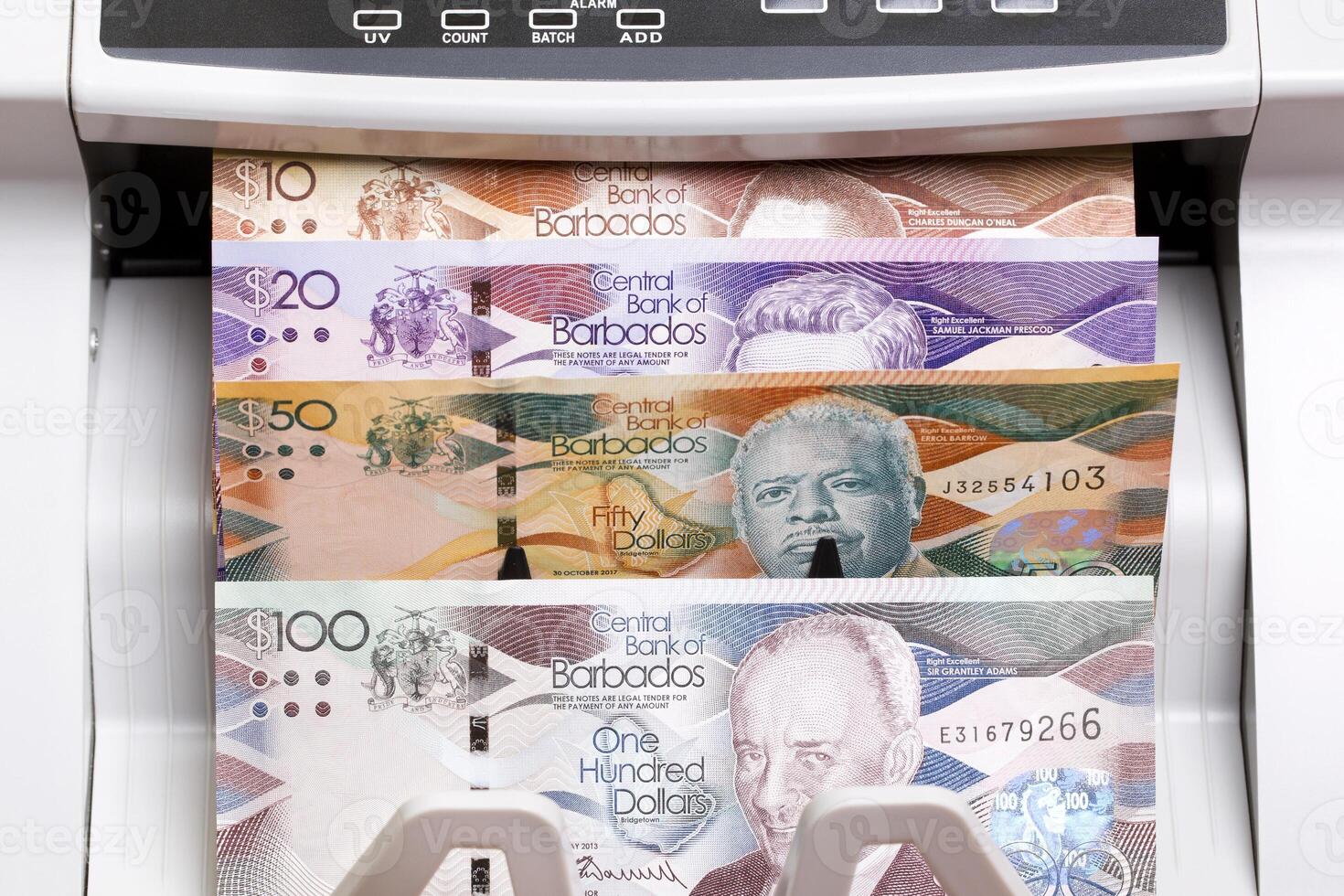 Barbadian dollar in the counting machine photo