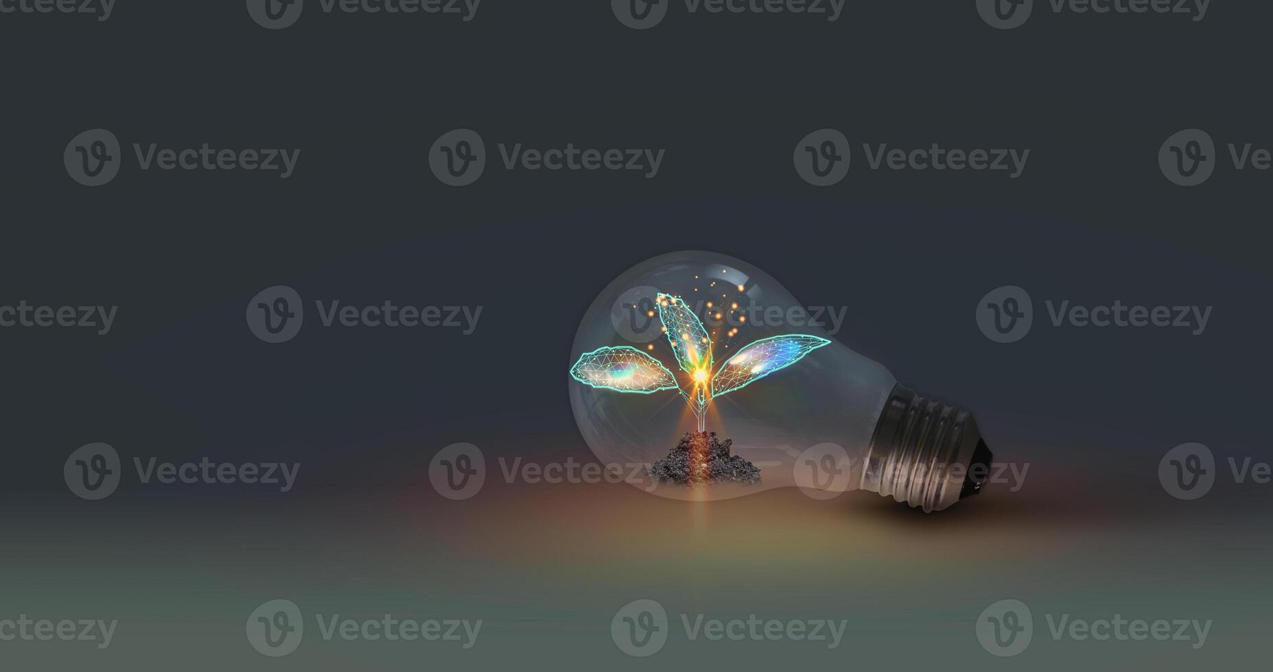 Light bulb with a sapling on the ground and sunlight. In a clean energy concept. Sustainable energy. Saving in nature and renewable energy. photo