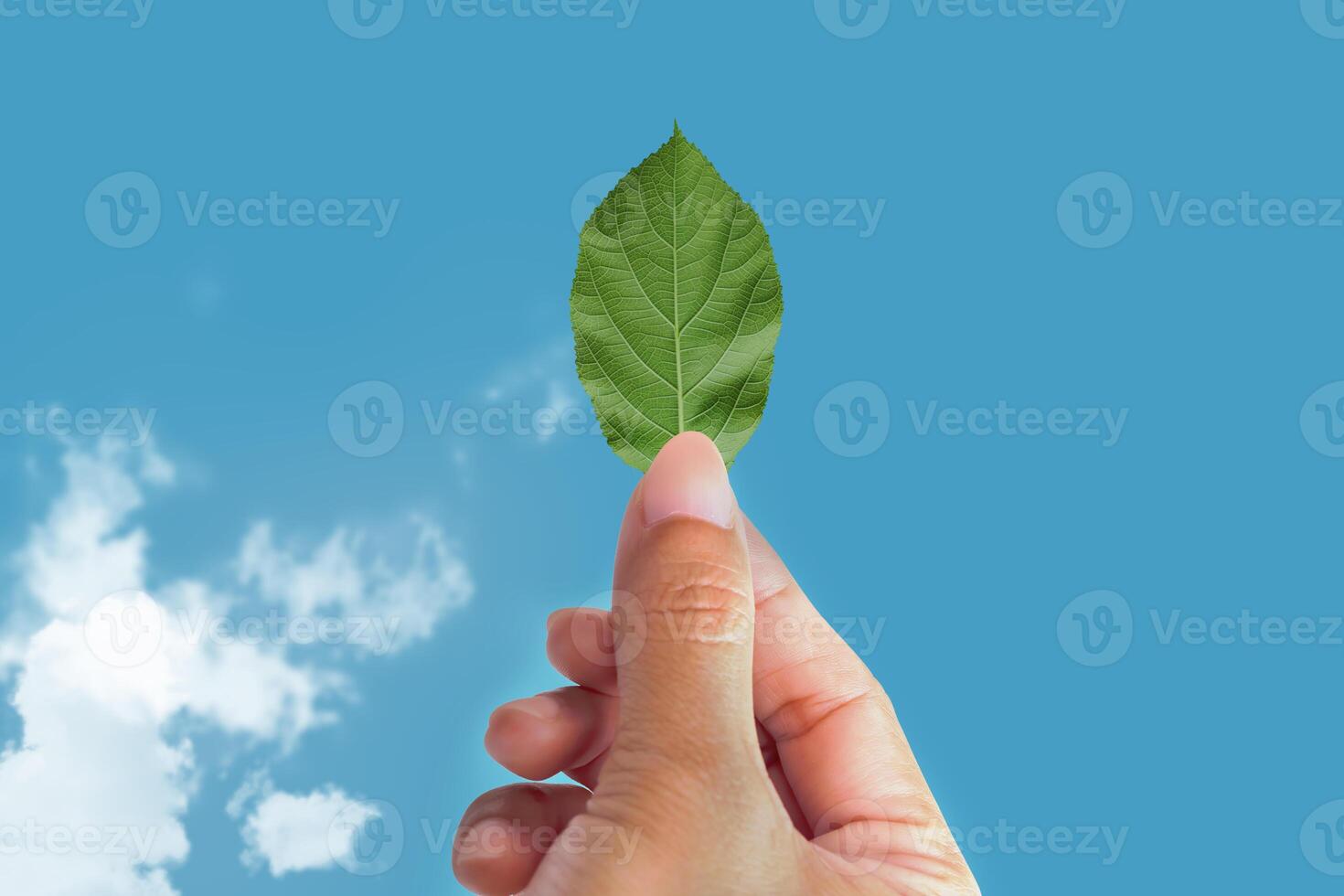 Hand holding a green leaf on blue sky background. Save nature concept photo