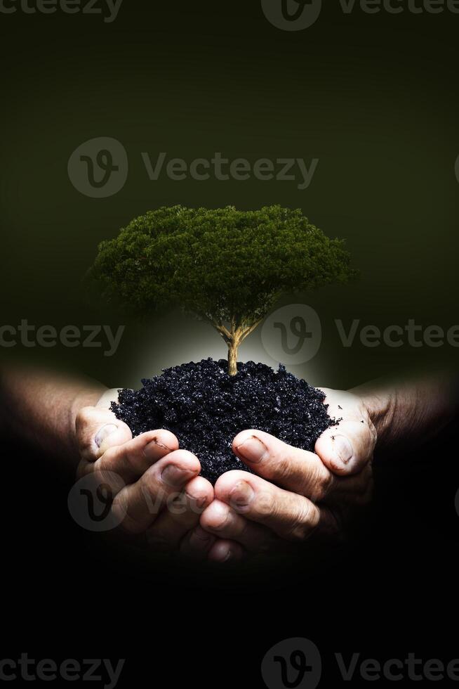 Ecology, protection of natural environment, earth day concept photo