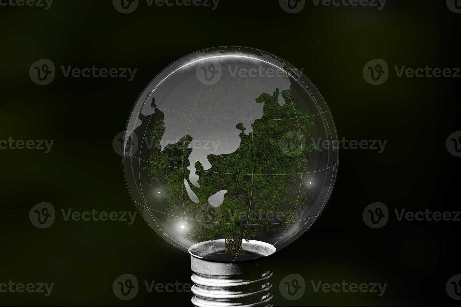 Bulb light with tree inside on black background. Saving energy and eco concept photo