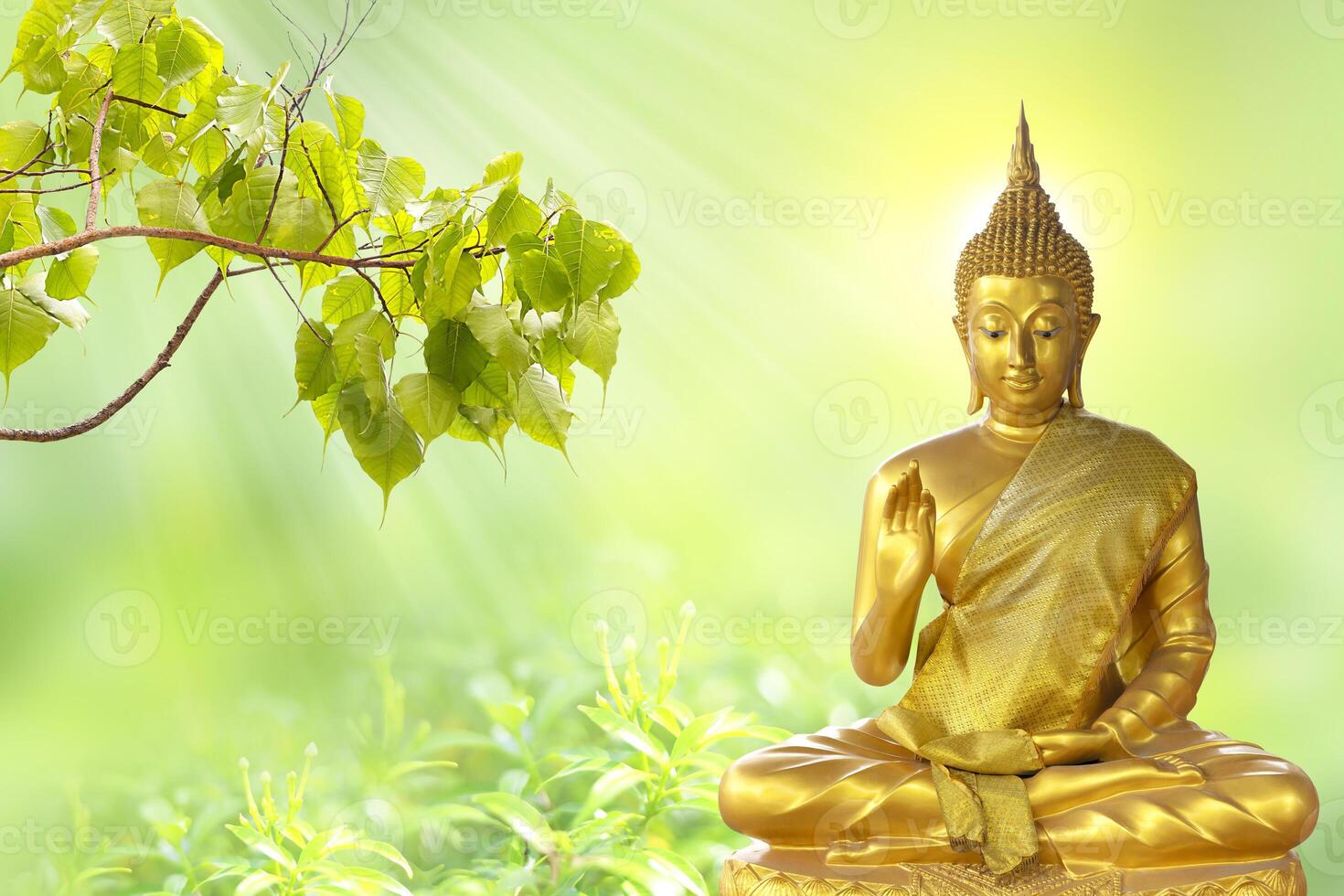 a golden buddha statue is sitting in the grass photo