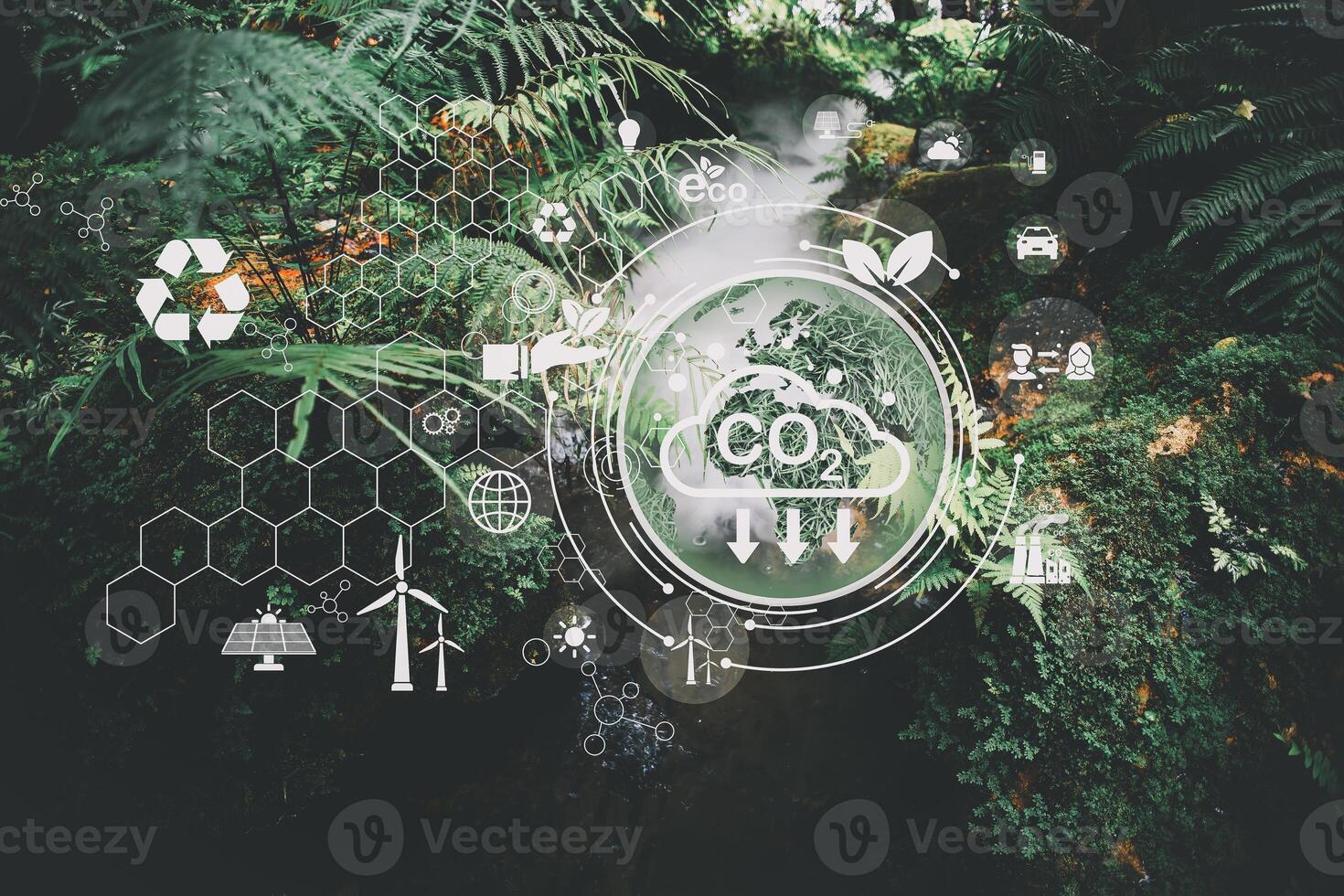 eco-friendly concept with eco-friendly icons in the forest photo