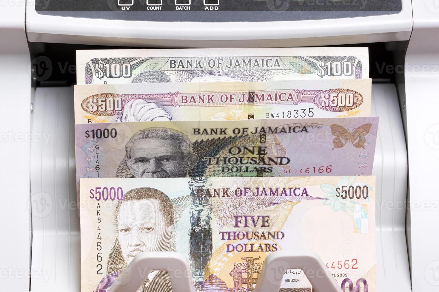 Jamaican dollar in the counting machine photo