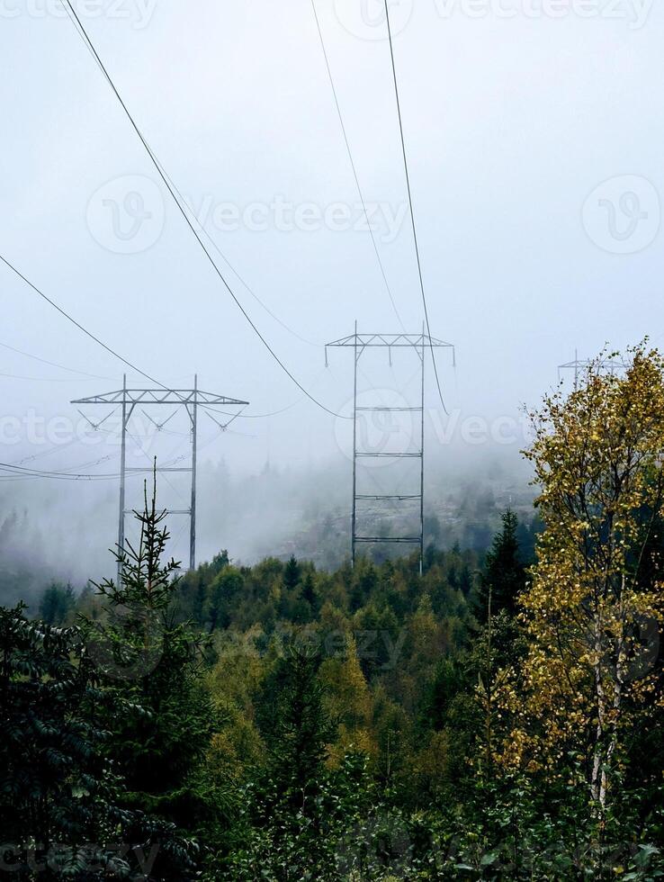 the power lines covered in fog over a forest on a rainy day in Norway photo