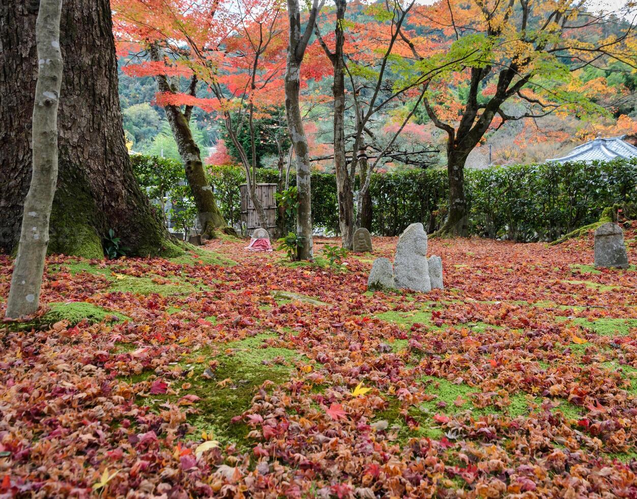 Buddha statue in a zen garden Of Adashino Nenbutsu-ji, Kyoto, Japan photo